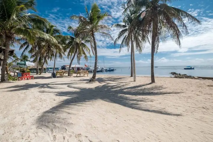 PriceTravel - Viaja fácil, sin pretextos